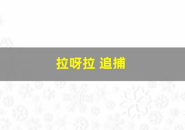 拉呀拉 追捕